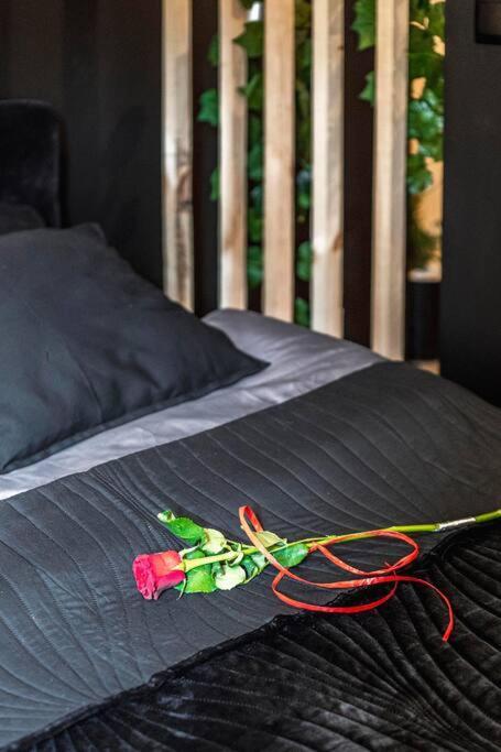 Krakowskie30 Loft1 Deptak 루블린 외부 사진
